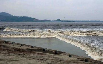 观潮精品教案6篇