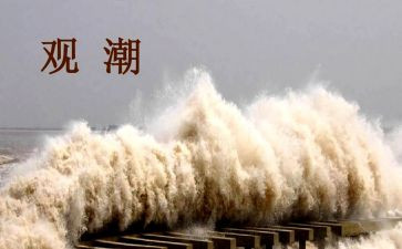 观潮读后感100字5篇
