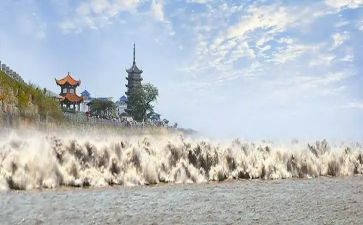 观潮读后感100字精选8篇