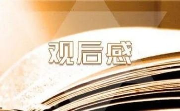 观后感300字观后感通用5篇