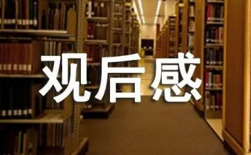 中国新疆之历史印记观后感800字5篇