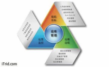 管理与被管理心得体会精选5篇