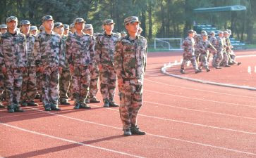 观训心得体会1000字最新7篇