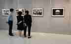 观展报告总结最新5篇
