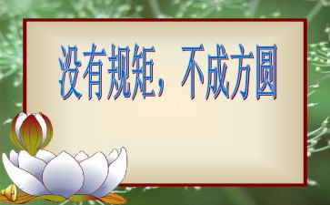 讲规矩懂规矩守规矩心得体会最新6篇