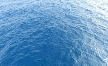 海保护倡议书7篇