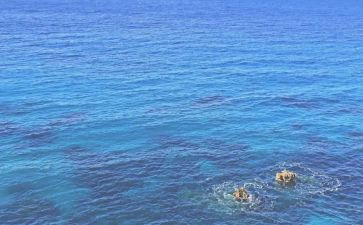海州租房合同模板6篇