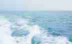 海居地产租房合同7篇