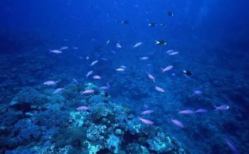 海底两万里的读后感优质8篇