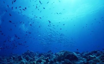 海底两万里读心得体会6篇