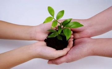 呵护眼睛预防近视教案6篇