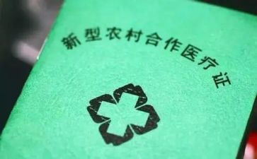 2024年合疗个人总结报告最新6篇