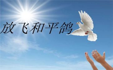 为了和平纪录片观后感通用5篇