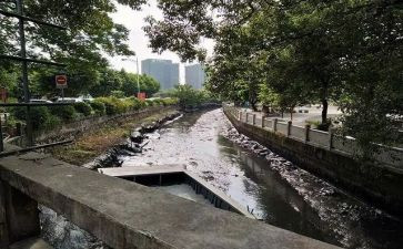 河涌污染倡议书参考6篇