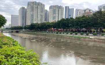 河涌治理倡议书5篇