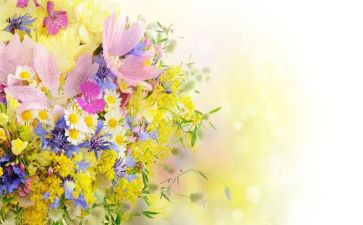 青铜葵花,的读后感模板5篇