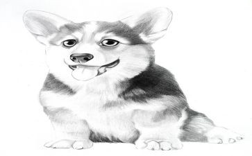 《画》小班教案优秀7篇