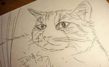《画》小班教案5篇
