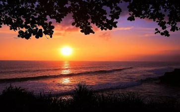 读秋天的怀念读后感通用8篇