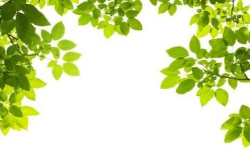 做环保活动心得7篇