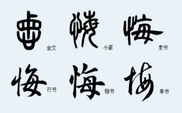 罪与悔的心得体会参考8篇
