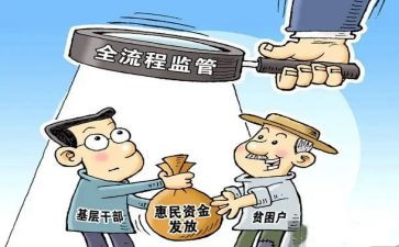 惠民工作总结8篇