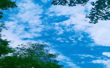 回忆我的——作文6篇