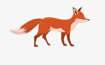 熊与狐狸读后感参考8篇