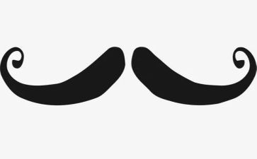 小猫刮胡子教学反思5篇