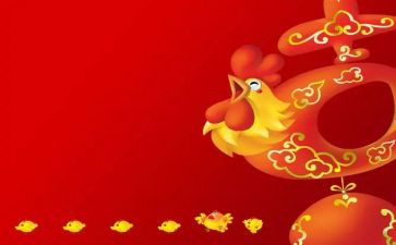 鸡调研报告精选8篇