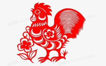 鸡蛋的沉与浮科学教案7篇