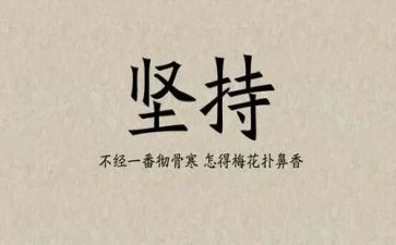 学坚持和加强党的全面领导心得体会6篇