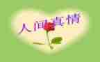 有真情的作文推荐7篇