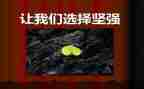 爱让我变得坚强作文5篇