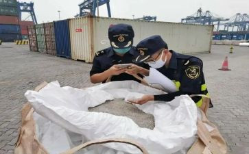 2024植物检疫工作总结8篇