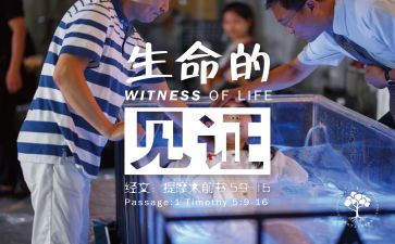 见证的作文5篇