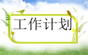 计划员工作总结及2024年工作计划最新6篇
