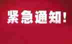 紧急救援电影观后感6篇