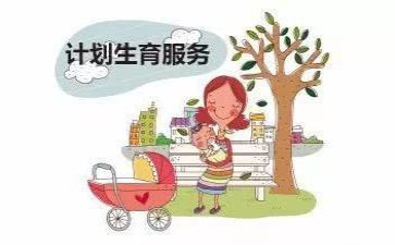 村计生工作个人年终总结5篇