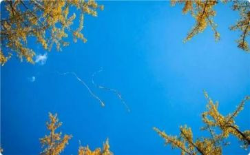 幼儿园九月份大班工作总结6篇