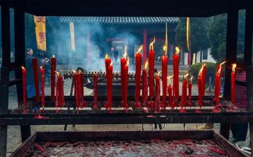 清明节祭祖的心得体会8篇
