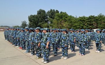 军训心得体会范文500字通用8篇