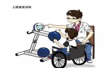 康复师的个人总结7篇