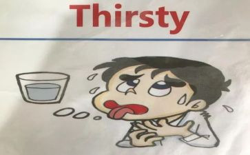 我渴望自由作文300字6篇