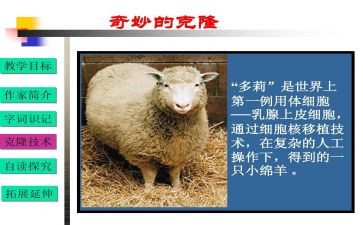 克隆的我作文300字8篇