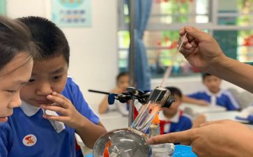 2023科学课程标准心得体会6篇