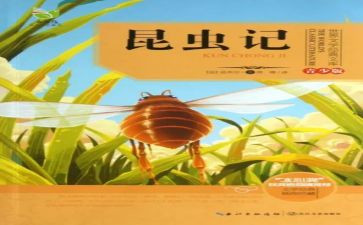 昆虫记读后感500字6篇