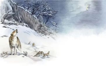《狼王梦》的心得体会参考6篇