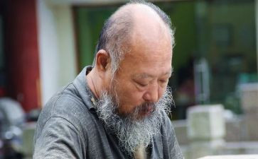 老人与狼作文400字7篇
