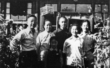 老舍《兔》读后感600字5篇
